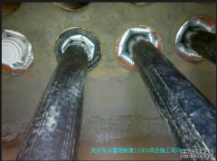 ҹ˾ʽ|ܵϵy(tng)a(chn)Ʒh|L(fng)Z110KV½(xing)Ŀ